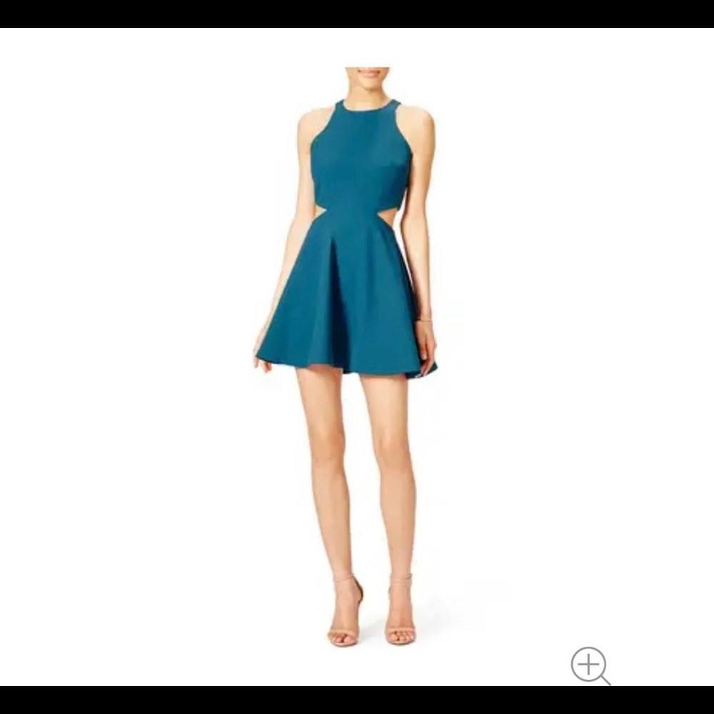 Elizabeth and James Emorie Mini Dress